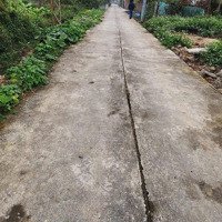 Cần Bán Diện Tích 669M2 Đất Thổ Cư Xây Biệt Thự Hoặc Nhà Xưởng Giá Rẻ