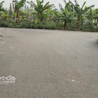 Bán Đất Đặng Xá, Gia Lâm, View Cánh Đồng Thoáng Vô Hạn, Đường Ô Tô Tải Tránh, Giá Nhỉnh 4 Tỷ