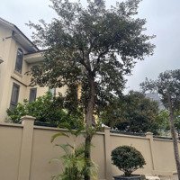 Chỉ 6 Tỷ Sở Hữu Ngay 180M2 Đất, Tặng Biệt Thự 3 Tầng Như Ảnh. Sổ Hồng Sang Tên. Liên Hệ: 0326569236