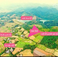 Bán 930M Đất Gần Hồ Sinh Thái Tại Mỹ Hoà. Giá Chỉ Hơn 300 Triệu
