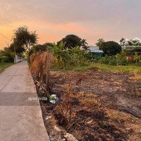 Cần Bán Nhanh Đất Thổ Cư Ngay Chợ Bờ Ngựa, Gần Trường Tiểu Học Tân Kiên Bình Chánh, 90M2, Chỉ 7Xx
