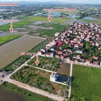 Bán Đất Đấu Giá Đồng Mèo Tri Trung Phú Xuyên Hà Nội Diện Tích: 120M Giá 3,X Tr/1M