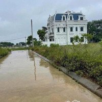 Bán Đất Đấu Giá Đồng Mèo Tri Trung Phú Xuyên Hà Nội Diện Tích: 120M Giá 3,X Tr/1M