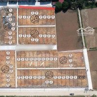 Bán Đất Đấu Giá Đồng Mèo Tri Trung Phú Xuyên Hà Nội Diện Tích: 120M Giá 3,X Tr/1M