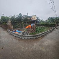 Mới ... Đất Giá Rẻ Xã Tự Nhiên Thường Tín