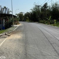 Bán Đất Ở Giá Rè Bình Chánh 1400M2 Full Thổ Cư