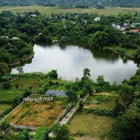 Lô Đất 550 M2 View Hồ Lớn Mua Làm Nhà Vườn Nghỉ Dưỡng Thì Quá Đẹp Cách Tt Hà Nội 35 Km
- Thổ Cư 100