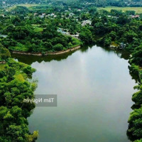 Lô Đất 550 M2 View Hồ Lớn Mua Làm Nhà Vườn Nghỉ Dưỡng Thì Quá Đẹp Cách Tt Hà Nội 35 Km
- Thổ Cư 100