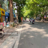 (Siêu Hiếm Ba Đình) Bán Tòa 8T Đẳng Cấp Mp Phan Đình Phùng - 92M2 Mt: 6.5M - Dòng Tiền 350 Triệu/Tháng