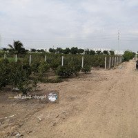 Chủ Cần Bán 20178Mv Mặt Tiền Kênh 4 Đường Vườn Thơm Xã Bình Lợi Giá Bán 27Ty Tl. Liên Hệ: 0909805425