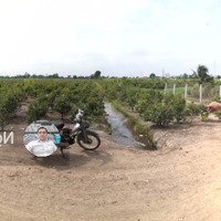 Chủ Cần Bán 20178Mv Mặt Tiền Kênh 4 Đường Vườn Thơm Xã Bình Lợi Giá Bán 27Ty Tl. Liên Hệ: 0909805425