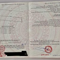Bán 546M2 Đất Trồng Cây Lâu Năm, Hẻm Đinh Đức Thiện, Xã Bình Chánh, Huyện Bình Chánh
