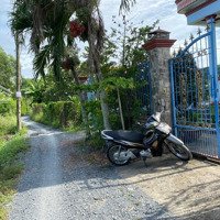 Bán 546M2 Đất Trồng Cây Lâu Năm, Hẻm Đinh Đức Thiện, Xã Bình Chánh, Huyện Bình Chánh