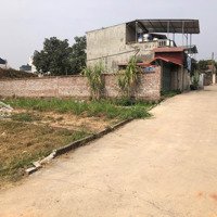 Bán Đất Thắng Trí, Minh Trí, Sóc Sơn 62,5M Giá Chỉ 1,6 Tỷ Sổ Đỏ Chính Chủ!
