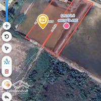Bán Đất 1000M2 Quy Hoạch Khu Dân Cư, Vị Trí Cách Đường Trần Quang Đạo 100M Đường Xe Hơi Vào Tận Đất