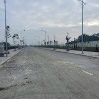 Bán Đất Rừng Thông, 1,2 Tỷ, 100M2, Q.đông Sơn, Thanh Hóa, Hot!