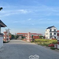 Hàng Hót! Danh Sách Quỹ Hàng Đấu Giá Dạ Trạch Tháng 2/2025 Giá Cực Tốt