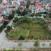 Bán Gấp Lô Góc: Làng Nghề Kiêu Kỵ/ Gia Lâm/ Sát Vinhom Ocenpark 1/ Diện Tích: 520M/Mt:20M View:hồ / Giá Bán 22 Tỷ