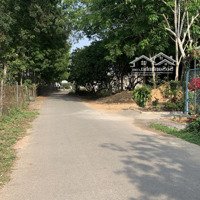Bán Đất Đường Nhựa Xã Đồi 61, Gần Ngay Kcn Bàu Xéo Giá Bán 1.050 Tỷ