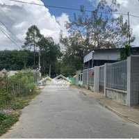 Bán Đất Đường Nhựa Xã Đồi 61, Gần Ngay Kcn Bàu Xéo Giá Bán 1.050 Tỷ