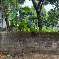 Bán Đấtdiện Tích228M2, Giá Bán 12 Triệu,Diện Tích383, Đông Kết, Khoái Châu, Hưng Châu, Hưng Yên, Chính Chủ Uy Tín