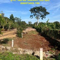 Chính Chủ Cần Bán Nhanh Đất Mặt Tiền Đường Nhựa Tại Xã Đá Bạc, Châu Đức, Bà Rịa Vũng Tàu