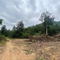 Bán Đất 7.700M Làm Nhà Vườn Gần Quốc Lộ 27C Giá Chỉ 93/M2 Huyện Khánh Vĩnh Liên Hệ: 0788.558.552