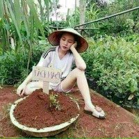 Cần Bán Đất Thạch Bàn Long Biên Hà Nội.