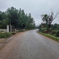 Văn Phòng Mở Bán 30 Lô Thanh Thuỷ, Phú Thọ