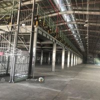 Cho Thuê Kho Xưởng Cụm Khu Công Nghiệp Hải Sơn, Đức Hòa Đông, Long An Diện Tích Kho 3.600M2