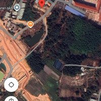 Bán Đất Mặt Tiền Đường Nguyễn Thái Bình, Phú Hoà, Tp Thủ Dầu Một. 6,5X56M