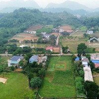 Bán Đất Tại Xã Thanh Sơn, Huyện Lương Sơn, Hòa Bình, 2453M2