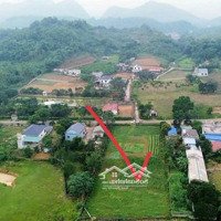 Bán Đất Tại Xã Thanh Sơn, Huyện Lương Sơn, Hòa Bình, 2453M2