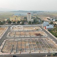 Đấu Giá Mạ Cú - Đại Nghĩa - Mỹ Đức