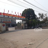 Đấu Giá Mạ Cú - Đại Nghĩa - Mỹ Đức