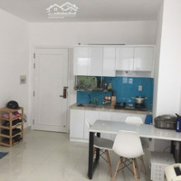 Cho Thuê Ch Florita, 10 Triệu, 42M2, 1 Phòng Ngủ 1 Vệ Sinhtại Tân Hưng, Q7, Hcm Nhà Trống Ở Liền Xem Nhà Ngay