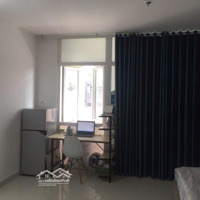 Cho Thuê Ch Florita, 10 Triệu, 42M2, 1 Phòng Ngủ 1 Vệ Sinhtại Tân Hưng, Q7, Hcm Nhà Trống Ở Liền Xem Nhà Ngay