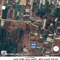 Bán Đất Giá Của 2022 (363.3M2 Tại Bàu Cạn, 2,4 Tỷ, Long Thành, Đồng Nai)