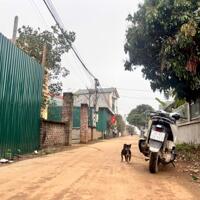 285M2 TRỤC CHÍNH THÔN 2 PHÚ CÁT, GIÁ LOANH QUANH 10TR/M2