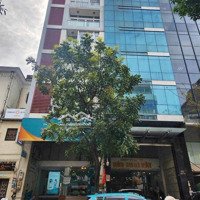 Mt 8Mx19/ 7 Tầng- Tô Hiến Thành, Quận 10 Vị Trí Kim Cương, Giá Cực Hấp Dẫn! 30 Tỷ, Thuê 150 Triệu