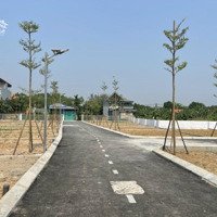 Chính Chủ Cần Bán Gấp Lô Đất 116M2 Tại Đồng Trúc, Thạch Thất, Hà Nội