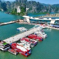 Đất Nền Khu Kinh Tế Vân Đồn Giá Siêu Tốt
