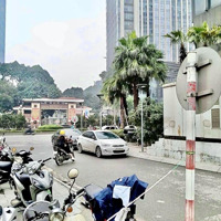 Đất Hiếm Lê Văn Lương, Sát Phố, Ngõ Thông, Ôtô Tải Qua Nhà, Mặt Tiền Khủng, Vuông Vắn 185M2