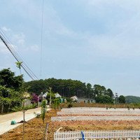 Bán Đất Nền 300M2 Tại Mê Linh, Lâm Hà, 920 Triệu Vnd, Hàng Hiếm Tại Uy Tín