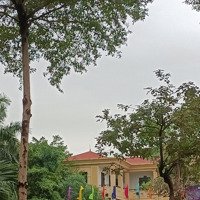 Mảnh Đất Vàng Lô Góc Còn Sót Lại Cực Hiếm, Yên Nghĩa Hà Đôngdiện Tích52M,Mặt Tiền4.5M, 3 Tỷ Nhỉnh, Ôtô Tránh