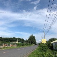 Đất Mặt Tiền Đường Chính Bàu Cạn Kinh Doanh Đa Ngành, Shr Thổ Cư Sẵn, Giá Bao Đầu Tư