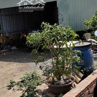 Bán Lô Đất Rẻ Nhất Đông Hòa, Dĩ An, Bình Dương