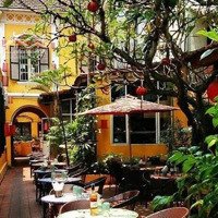 Bán Biệt Thự Cổ Chân Cầm, 550M2, 2 Tầng, Mặt Tiền 12M, 318 Tỉ