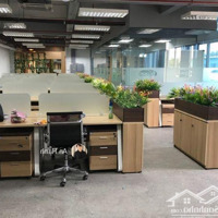 Giá Cực Tốt! Bán Nhà Mặt Tiền Đề Thám, Quận 1-Dt 9X19M (3 Tầng - Hđt 220 Triệu) Giảm 5 Tỷ Còn 55 Tỷ