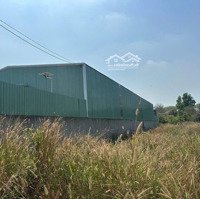 Cần Cho Thuê Kho Xưởng Xa Dân Địa Chỉ. An Tây. Bến Cát. Bình Dương